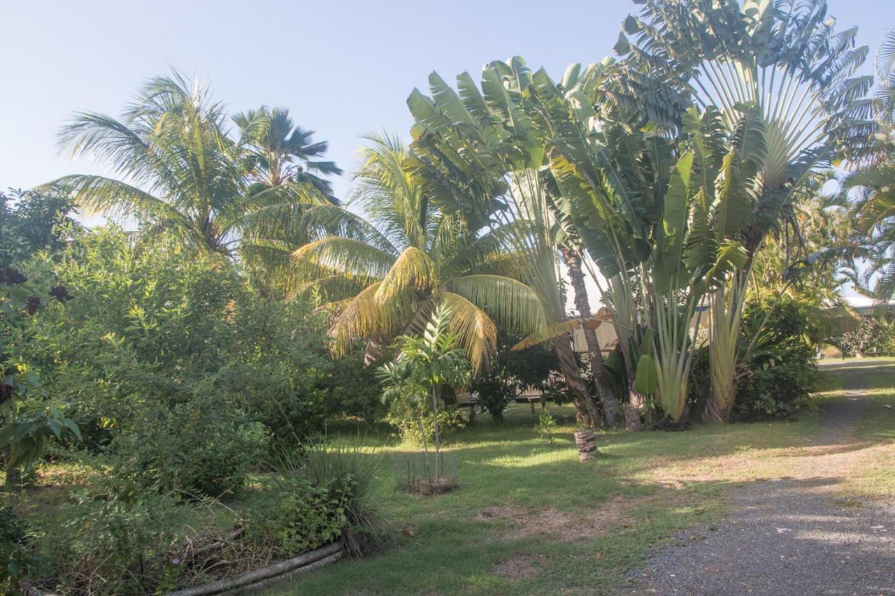 Gite Le Colibri Bungalow Azur Avec Reserve D'Eau Saint-Francois  Exterior foto