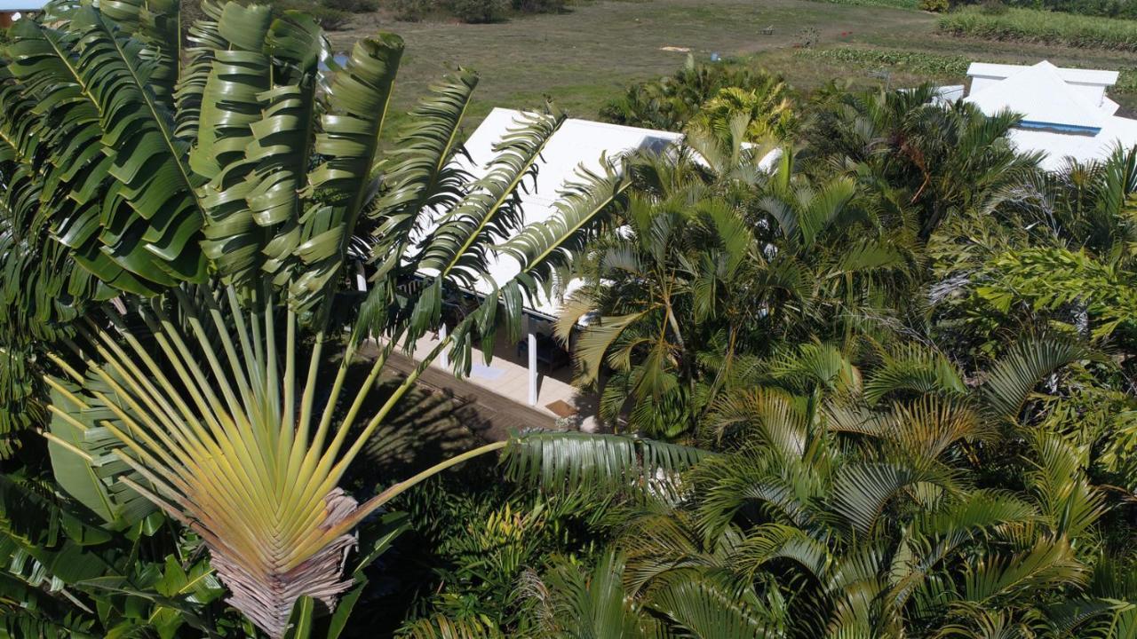 Gite Le Colibri Bungalow Azur Avec Reserve D'Eau Saint-Francois  Exterior foto