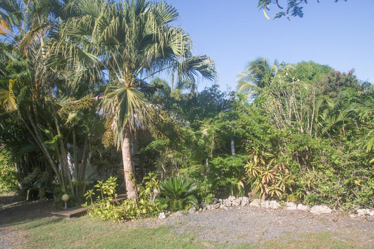 Gite Le Colibri Bungalow Azur Avec Reserve D'Eau Saint-Francois  Exterior foto